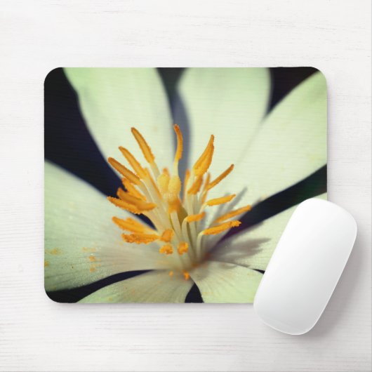 Bloeddrukventilator centrum sluiten muismat (Met muis)