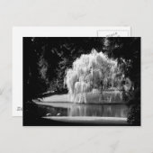 Bloedel Reserve Briefkaart (Voorkant / Achterkant)