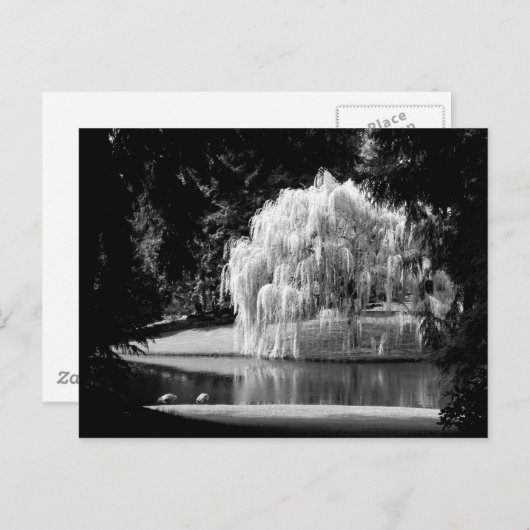 Bloedel Reserve Briefkaart (Voorkant / Achterkant)