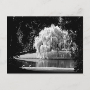 Bloedel Reserve Briefkaart