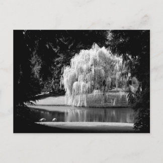 Bloedel Reserve Briefkaart