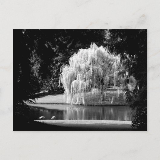 Bloedel Reserve Briefkaart (Voorkant)