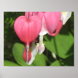 Bloedend Bloedend Hart Poster - Matte Value Paper