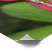 Bloedend Bloedend Hart Poster - Matte Value Paper (Hoek)