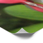 Bloedend Bloedend Hart Poster - Value Matte Paper (Hoek)