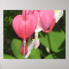 Bloedend Bloedend Hart Poster - Value Matte Paper