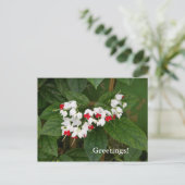 Bloedend Briefkaart (Staand voorkant)