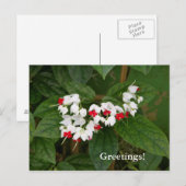 Bloedend Briefkaart (Voorkant / Achterkant)