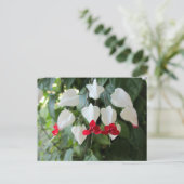 Bloedend Hart Botanische Bloemen Fotografisch Briefkaart (Staand voorkant)