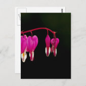 Bloedend hart briefkaart (Voorkant / Achterkant)