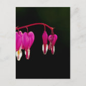 Bloedend hart briefkaart (Voorkant)