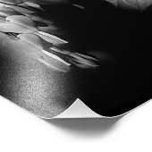 Bloedende hartbloemen in zwart-wit 8x10 foto afdruk (Hoek)