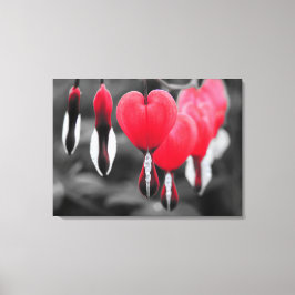 Bloedende harten Bloemen: rode kleur splash Canvas Afdruk