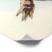 Bloedgekleurde kool van Elizabeth Gould Poster (Hoek)