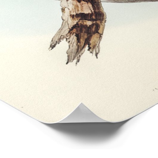 Bloedgekleurde kool van Elizabeth Gould Poster (Hoek)