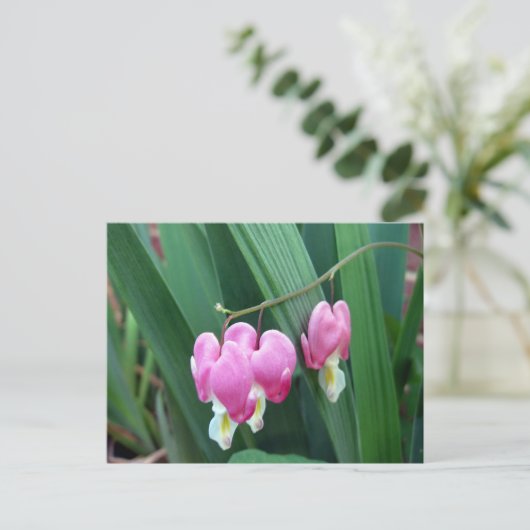 Bloedharten Briefkaart (Staand voorkant)