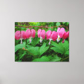 Bloedharten Canvas Afdruk (Voorkant)