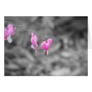 Bloedharten Deurdistrict