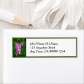 Bloedharten Etiket (Insitu)