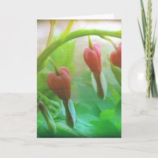 Bloedharten Kaart (Voorkant)