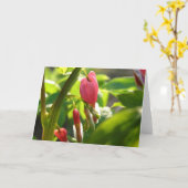 Bloedharten Kaart (Gele Bloem)