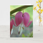 Bloedharten Kaart (Gele Bloem)