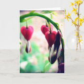 Bloedharten Kaart (Gele Bloem)