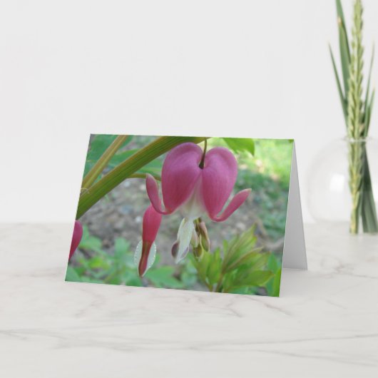 Bloedharten Kaart (Voorkant)