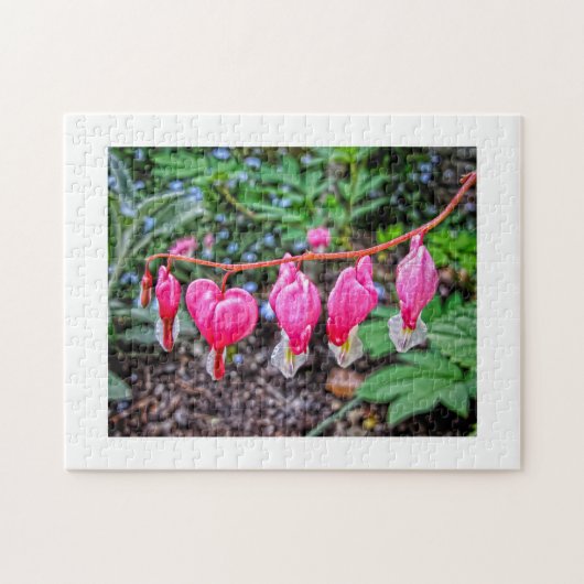 Bloedharten Legpuzzel (Horizontaal)