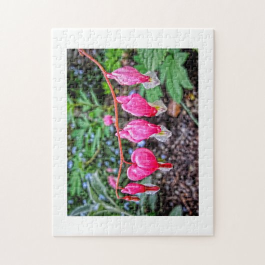 Bloedharten Legpuzzel (Verticaal)