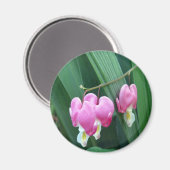 Bloedharten Magneet (Voorkant / Achterkant)