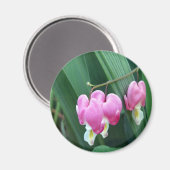 Bloedharten Magneet (Voorkant / Achterkant)