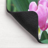 Bloedharten Muismat (Hoek)