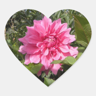 Bloedhartsticker Hart Sticker