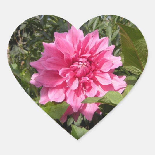 Bloedhartsticker Hart Sticker (Voorkant)