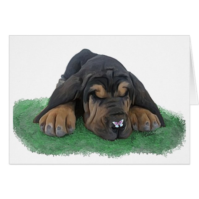 bloedhond (Voorkant Horizontaal)