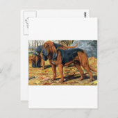 bloedhond briefkaart (Voorkant / Achterkant)