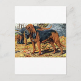 bloedhond briefkaart