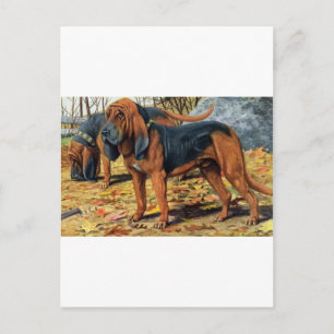 bloedhond briefkaart