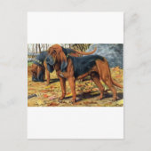 bloedhond briefkaart (Voorkant)