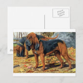 bloedhond briefkaart (Voorkant / Achterkant)