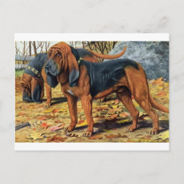 bloedhond briefkaart