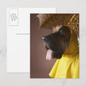 Bloedhond. Briefkaart (Voorkant / Achterkant)