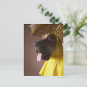 Bloedhond. Briefkaart (Staand voorkant)