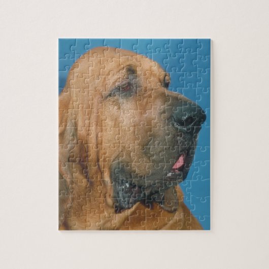 Bloedhond Dog Puzzle Legpuzzel (Verticaal)