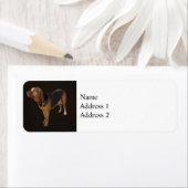 bloedhond etiket (Insitu)