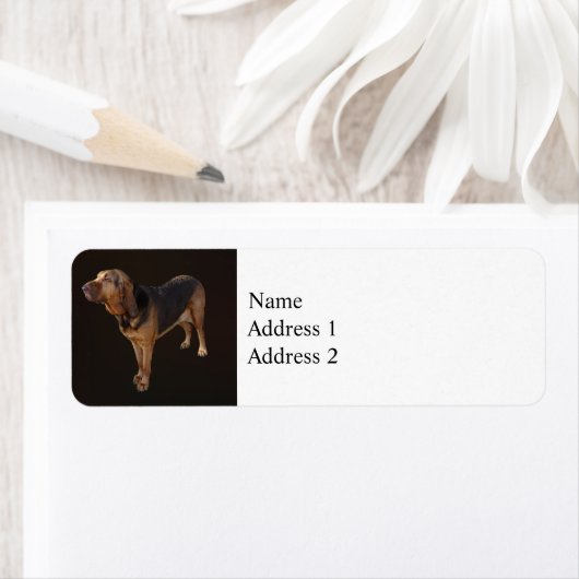 bloedhond etiket (Insitu)