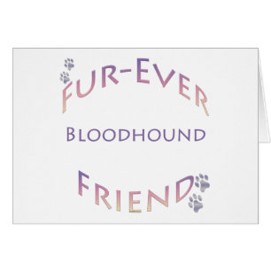 bloedhond Furever