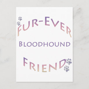 bloedhond Furever Briefkaart