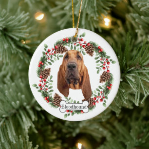 Bloedhond Gepersonaliseerd Ornament voor huisdiere